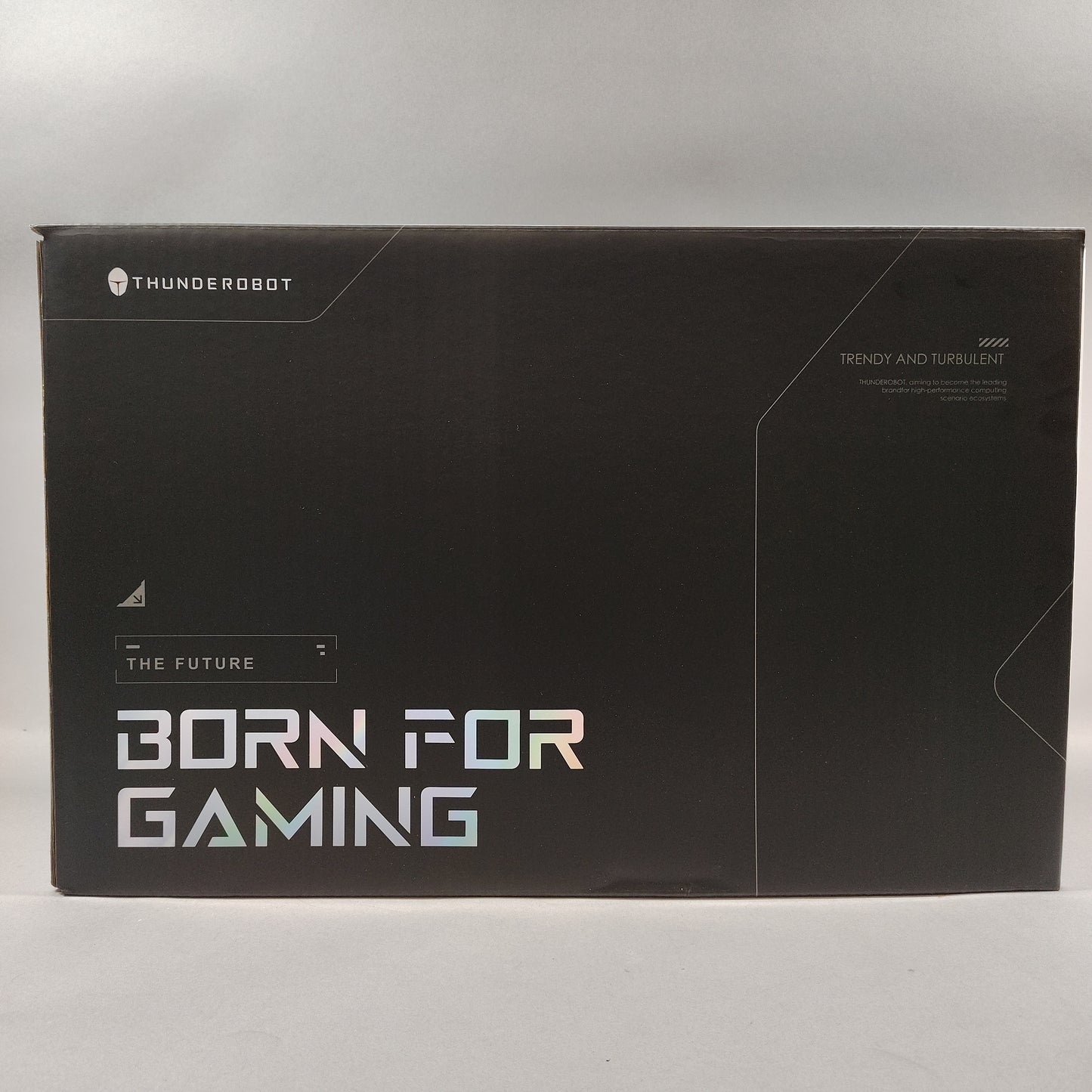 Open Box Thunderobot 911 X17 i7-10510U 2.4GHz 64GB RAM 2TB SSD