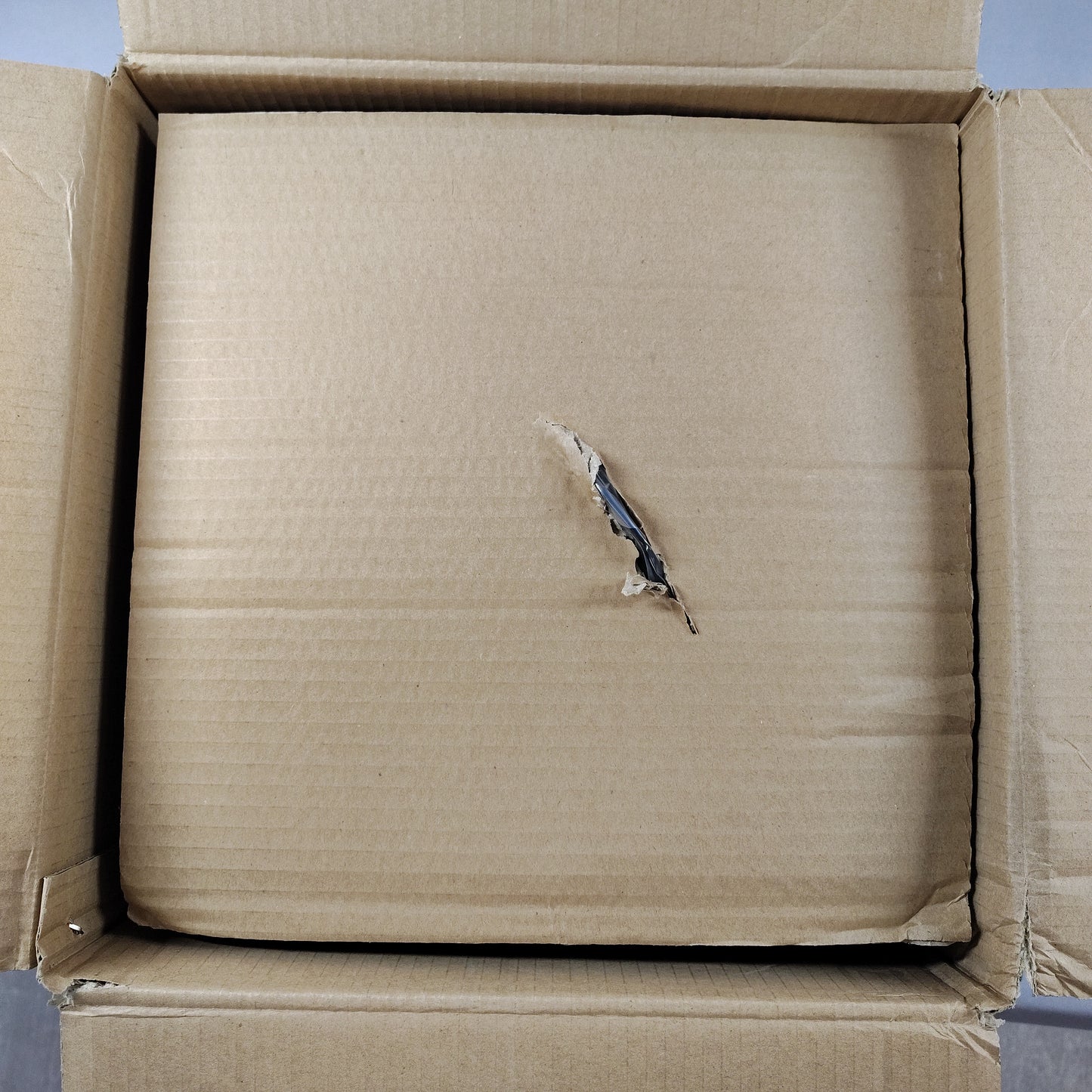 JBL control 64P/T-WH Pendant Speaker White N/A