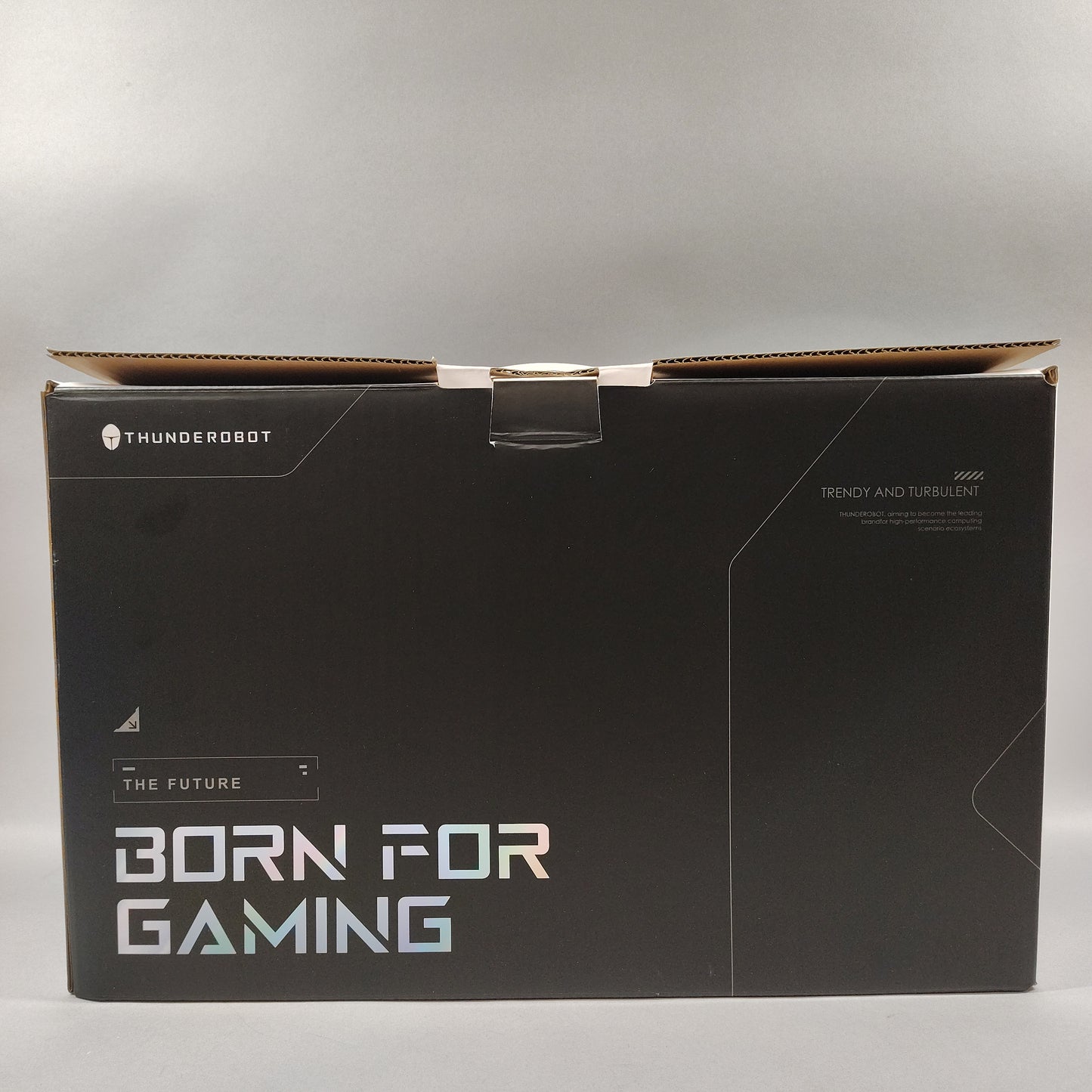 Open Box Thunderobot 911 X17 i7-10510U 2.4GHz 64GB RAM 2TB SSD