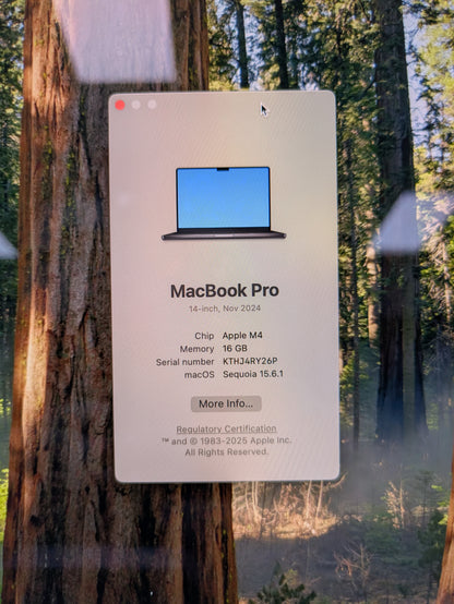 2024 Apple MacBook Air 14" M4 10 Core 4.5GHz 16GB RAM 512GB SSD A3112