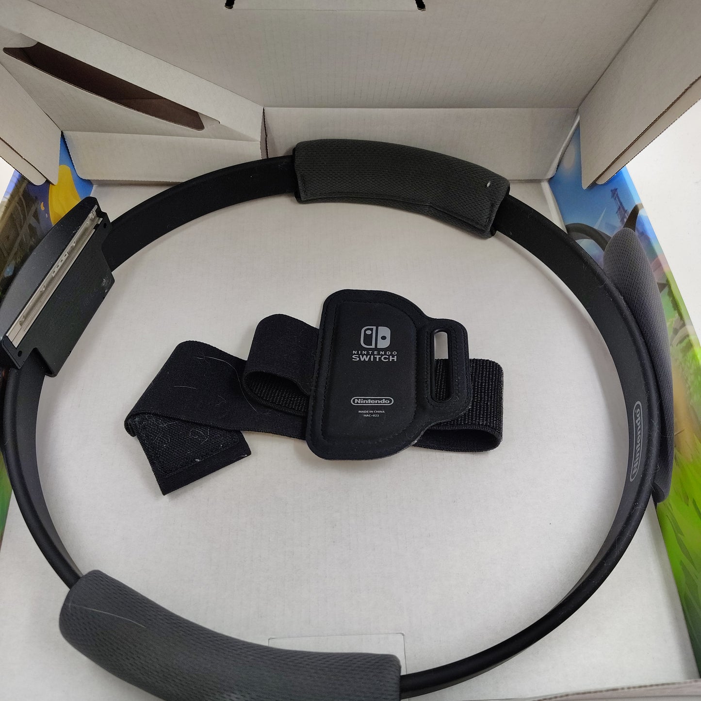 Ring Fit Adventure (Nintendo Switch, 2019)