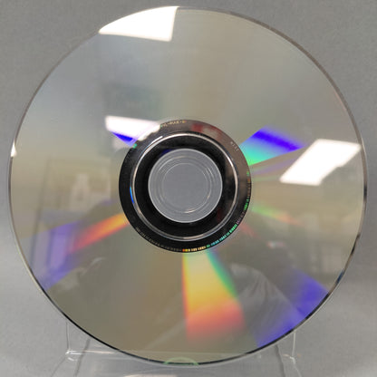 Animal Crossing: City Folk (Nintendo Wii, 2008)